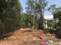 Đất giá rẻ đã lên thổ cư, sổ hồng riêng Đất giá rẻ đã lên thổ cư, sổ hồng riêng