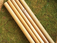 Ống hút sậy Reedfarm Organic: chất liệu mới cho những bước tiến mới Ống hút sậy Reedfarm Organic: chất liệu mới cho những bước tiến mới