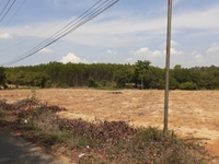 Bán đất cửa sau sân bay long thành, xã phước bình, giá đầu tư gđ1 Bán đất cửa sau sân bay long thành, xã phước bình, giá đầu tư gđ1