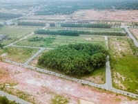 Cần bán gấp lô đất khu Tên Lửa, An Lạc A, Bình Tân, SHR Cần bán gấp lô đất khu Tên Lửa, An Lạc A, Bình Tân, SHR