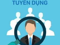 Cần tuyển nhân viên làm việc giờ hành chính Cần tuyển nhân viên làm việc giờ hành chính