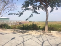 Lô đất mặt tiền Dương Văn Hạnh, x.Lý Nhơn, Cần Giờ bán Lô đất mặt tiền Dương Văn Hạnh, x.Lý Nhơn, Cần Giờ bán