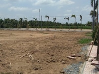 Đất nền mt cần giuộc, sổ hồng riêng xd tự do Đất nền mt cần giuộc, sổ hồng riêng xd tự do