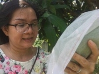 Túi vải không dệt bọc trái cây Mỹ Tường Túi vải không dệt bọc trái cây Mỹ Tường