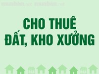 Cho thuê 700m2 nhà xưởng hoặc 150m2 văn phòng - Huyện Mỏ Cày Nam Cho thuê 700m2 nhà xưởng hoặc 150m2 văn phòng - Huyện Mỏ Cày Nam