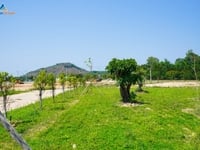 Trung tâm thị trấn đức phổ giá rẻ đầu tư Trung tâm thị trấn đức phổ giá rẻ đầu tư