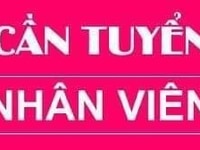 Tuyển nhân sự lái xe , phụ xe giao hàng tại tphcm Tuyển nhân sự lái xe , phụ xe giao hàng tại tphcm