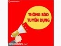 Tuyển gấp nhân viên văn phòng Công việc, Soạn thảo các công văn Tuyển gấp nhân viên văn phòng Công việc, Soạn thảo các công văn