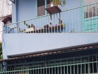 Nhà 1 trệt 1 lầu giá tốt cho đầu tư đường 13, phường Cát Lái quận 2 Nhà 1 trệt 1 lầu giá tốt cho đầu tư đường 13, phường Cát Lái quận 2