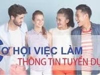 Cần tuyển gấp nam nữ nhân viên văn phòng Cần tuyển gấp nam nữ nhân viên văn phòng