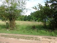Cần bán gấp 268m2 đất Tân Xuân 2, Hóc Môn 1,8 tỷ Cần bán gấp 268m2 đất Tân Xuân 2, Hóc Môn 1,8 tỷ