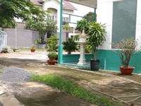 Cần cho thuê nhà 1 trệt 2 lầu, đường thông LVL- Nguyễn Hữu Thọ Cần cho thuê nhà 1 trệt 2 lầu, đường thông LVL- Nguyễn Hữu Thọ