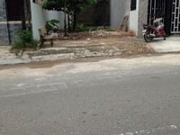 Bán gấp 6lô đất KV BÌNH CHÁNH ĐẤT THỔ CƯ 100%, SHR Bán gấp 6lô đất KV BÌNH CHÁNH ĐẤT THỔ CƯ 100%, SHR