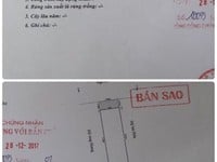 Căn nhà mặt ngõ 201 Lạch Tray, phường Lạch Tray, quận Ngô Quyền Căn nhà mặt ngõ 201 Lạch Tray, phường Lạch Tray, quận Ngô Quyền