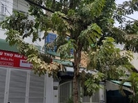 Bán nhà mặt tiền nội bộ Đường số 11 p.Sơn Kỳ 4x20m. 1 lầu 7,5 tỷ Bán nhà mặt tiền nội bộ Đường số 11 p.Sơn Kỳ 4x20m. 1 lầu 7,5 tỷ