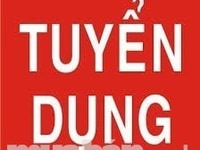 Cần tuyển gấp 03 nhân viên Thu Ngân tại siêu thị mini. Cần tuyển gấp 03 nhân viên Thu Ngân tại siêu thị mini.