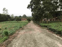 Bán đất thôn 3 ba trại, sổ đỏ chính chủ, oto to vào tận nơi, view đẹp Bán đất thôn 3 ba trại, sổ đỏ chính chủ, oto to vào tận nơi, view đẹp