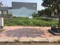 Cần Bán lô đất dự án Thôn Chè sổ đỏ chính chủ Cần Bán lô đất dự án Thôn Chè sổ đỏ chính chủ