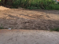Đất sổ đỏ chung, 4.5 ×11m, Bùi Công Trừng, Hóc Môn, 550 triệu Đất sổ đỏ chung, 4.5 ×11m, Bùi Công Trừng, Hóc Môn, 550 triệu