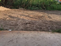 Đất sổ đỏ chung, 4.5 ×11m, bùi công trừng, hóc môn, 550tr Đất sổ đỏ chung, 4.5 ×11m, bùi công trừng, hóc môn, 550tr