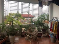 Bán nhà Phân Lô Phạm Tuấn Tài, 48mX5tầng, MT3,7m, 8,5 tỷ, oto tránh Bán nhà Phân Lô Phạm Tuấn Tài, 48mX5tầng, MT3,7m, 8,5 tỷ, oto tránh