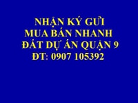 Đất dự án quận 9, đất dự án Đông Dương Đất dự án quận 9, đất dự án Đông Dương