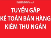 Tuyển gấp 2 Nữ Kế toán bán hàng, ưu tiên chưa có kinh nghiệm Tuyển gấp 2 Nữ Kế toán bán hàng, ưu tiên chưa có kinh nghiệm