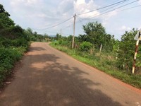 Bán đất sông thao ,dt 400m2 giá 410 triệu vị trí đẹp Bán đất sông thao ,dt 400m2 giá 410 triệu vị trí đẹp