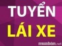 Cần tuyển lao động phổ thông tài xế lơ xe phụ kho xếp hàng trong kho Cần tuyển lao động phổ thông tài xế lơ xe phụ kho xếp hàng trong kho