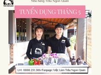 Tuyển Nhân Viên Chạy Đồ Nhà Hàng Lớn Tuyển Nhân Viên Chạy Đồ Nhà Hàng Lớn