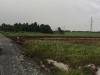 Đất Mặt Tiền Sông Khu Dân Cư Cầu Nhà Việt đường Bình Mỹ Củ Chi Đất Mặt Tiền Sông Khu Dân Cư Cầu Nhà Việt đường Bình Mỹ Củ Chi