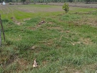 Cần tiền kinh doanh nên bán gấp lô đất giá 420tr, dt6,8x14m Cần tiền kinh doanh nên bán gấp lô đất giá 420tr, dt6,8x14m