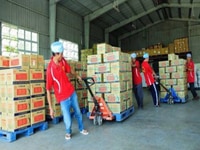 Cần gấp lao động phổ thông - phụ xe Cần gấp lao động phổ thông - phụ xe