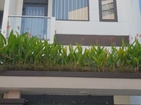 Chính chủ cho thuê nhà nguyên căn 3 tầng kiệt ô tô K39 Nguyễn Nhàn Chính chủ cho thuê nhà nguyên căn 3 tầng kiệt ô tô K39 Nguyễn Nhàn