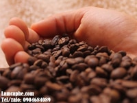 Cà phê pha phin truyền thống từ robusta hương vị riêng biệt cho quán Cà phê pha phin truyền thống từ robusta hương vị riêng biệt cho quán