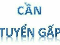 Tuyển thu ngân tính tiền cho khách Tuyển thu ngân tính tiền cho khách