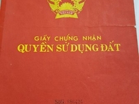 nuôi heo thua lỗ bán gấp miếng đất nuôi heo thua lỗ bán gấp miếng đất