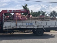 đất sổ đỏ thành phố vĩnh long mặt tiền đường 30m giáp 4 phường đất sổ đỏ thành phố vĩnh long mặt tiền đường 30m giáp 4 phường