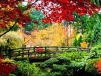 Cửa hàng trưởng cửa hàng thực phẩm ( thịt, cá, hải sản, cá viên...) Cửa hàng trưởng cửa hàng thực phẩm ( thịt, cá, hải sản, cá viên...)