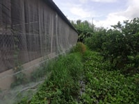 Chính chủ gửi bán: Bán đất trang trại 5.526 m2, Phường 7 Chính chủ gửi bán: Bán đất trang trại 5.526 m2, Phường 7