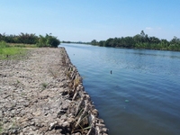 1 tỷ/1000m2 đất Nhơn Trạch Đồng Nai-SHR chính chủ gần quận 2 1 tỷ/1000m2 đất Nhơn Trạch Đồng Nai-SHR chính chủ gần quận 2