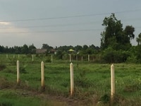Đất khu dân cư mặt tiền sông cầu Đá Hàng đường Bình Mỹ Xã Bình Mỹ Củ C Đất khu dân cư mặt tiền sông cầu Đá Hàng đường Bình Mỹ Xã Bình Mỹ Củ C