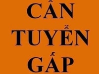 Công ty tuyển dụng nhân viên thu ngân làm việc tại chuỗi cửa hàng Công ty tuyển dụng nhân viên thu ngân làm việc tại chuỗi cửa hàng
