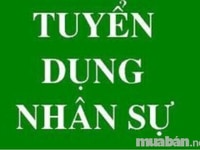 Cần tuyển 02 nhân viên văn phòng, chăm sóc khách hàng làm tai công ty Cần tuyển 02 nhân viên văn phòng, chăm sóc khách hàng làm tai công ty