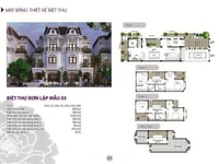 Cần bán căn C6A-24, DT 200m2, hướng Đông Nam Cần bán căn C6A-24, DT 200m2, hướng Đông Nam