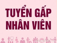 Siêu thị sạch vừa khai chương cần tuyển thêm nhân viên bán hàng Siêu thị sạch vừa khai chương cần tuyển thêm nhân viên bán hàng