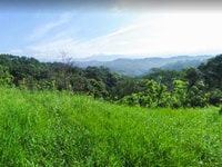 Bán đất trồng cây, giá rẻ, Huyện Bình Thuận, cách Quốc Lộ 1 8km Bán đất trồng cây, giá rẻ, Huyện Bình Thuận, cách Quốc Lộ 1 8km