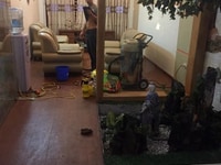 Phố Vip, Hiếm nhà bán, Lô góc, Nhà mặt phố Lạc Trung, 40m2, 5 tầng Phố Vip, Hiếm nhà bán, Lô góc, Nhà mặt phố Lạc Trung, 40m2, 5 tầng