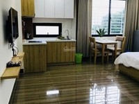 Cho thuê căn hộ gần bãi tắm Mân Thái sơn trà TP Đà Nẵng Cho thuê căn hộ gần bãi tắm Mân Thái sơn trà TP Đà Nẵng