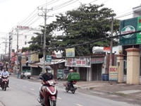 Mặt tiền sầm uất Hoàng Hữu Nam, Tân Phú, Quận 9/ Thổ cư 191m2 Mặt tiền sầm uất Hoàng Hữu Nam, Tân Phú, Quận 9/ Thổ cư 191m2